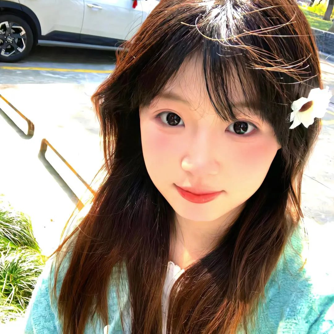 野狗在跳舞